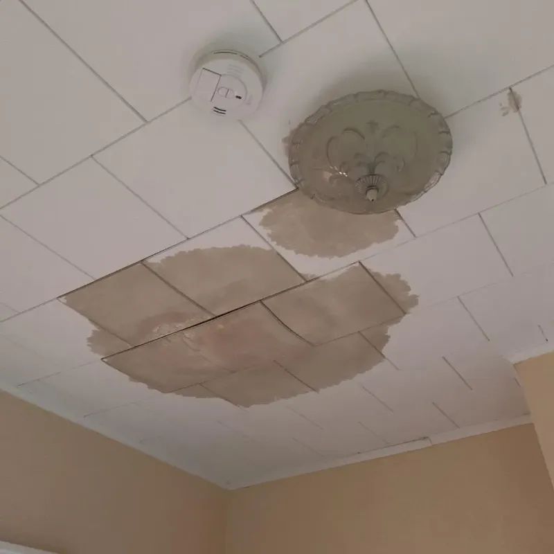 Ceiling Water Damage Repair in Delhi, NY
